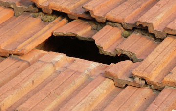 roof repair Blinkbonny, Fife